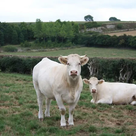 Bed & Breakfast Ferme Du Pre - D'hotes